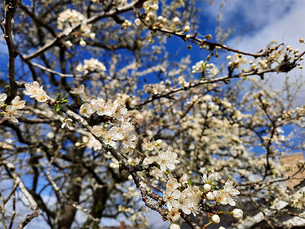 Louise Damkjær Psykomotorisk Terapeut - Damkjær PMT